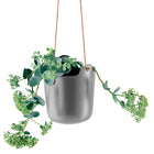 Self-Watering Pots Hanging