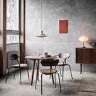 P376 Pendant Light