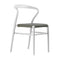 Joi Twenty-four Chair (Set of 2)  option Coffee