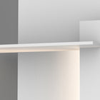 Backgate Outdoor LED Wall Sconce