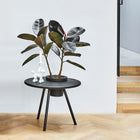 Bakkes Planter Table