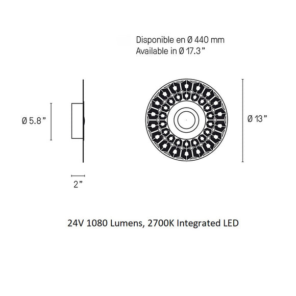 Earth Turtle Wall / Ceiling Light