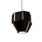 Astrum Pendant Light  option Matte Black with Matte White Interior