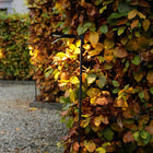 Brass Outdoor Bollard Lamp