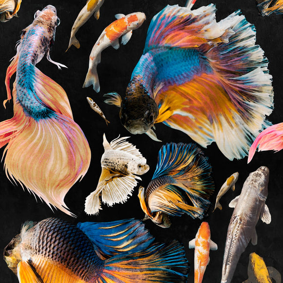 Goldfish Wallpaper Sample Swatch