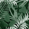 Jardin Del Sol Wallpaper  option Green