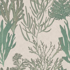 Light Corals Wallpaper
