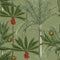 Madagascar Wallpaper  option Green