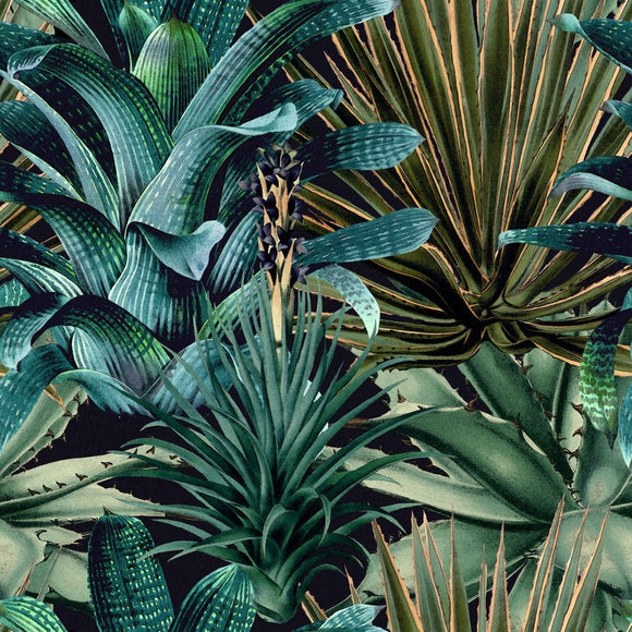 Lush Succulents Wallpaper