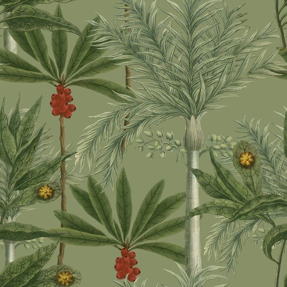 Madagascar Wallpaper Sample Swatch