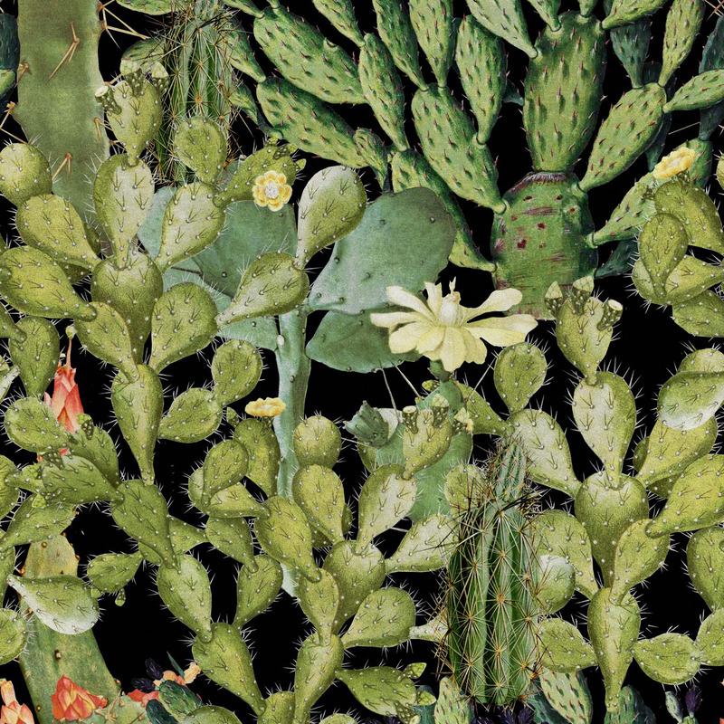 Opuntia Wallpaper Sample Swatch