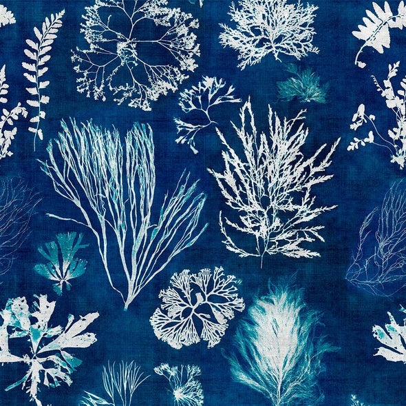 Algae Wallpaper Sample Swatch