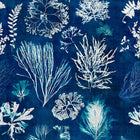 Algae Wallpaper
