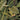 Amazonia Wallpaper