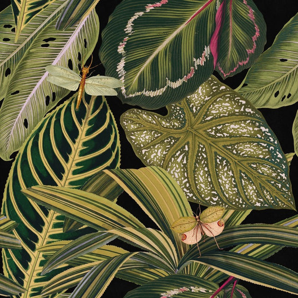 Amazonia Wallpaper