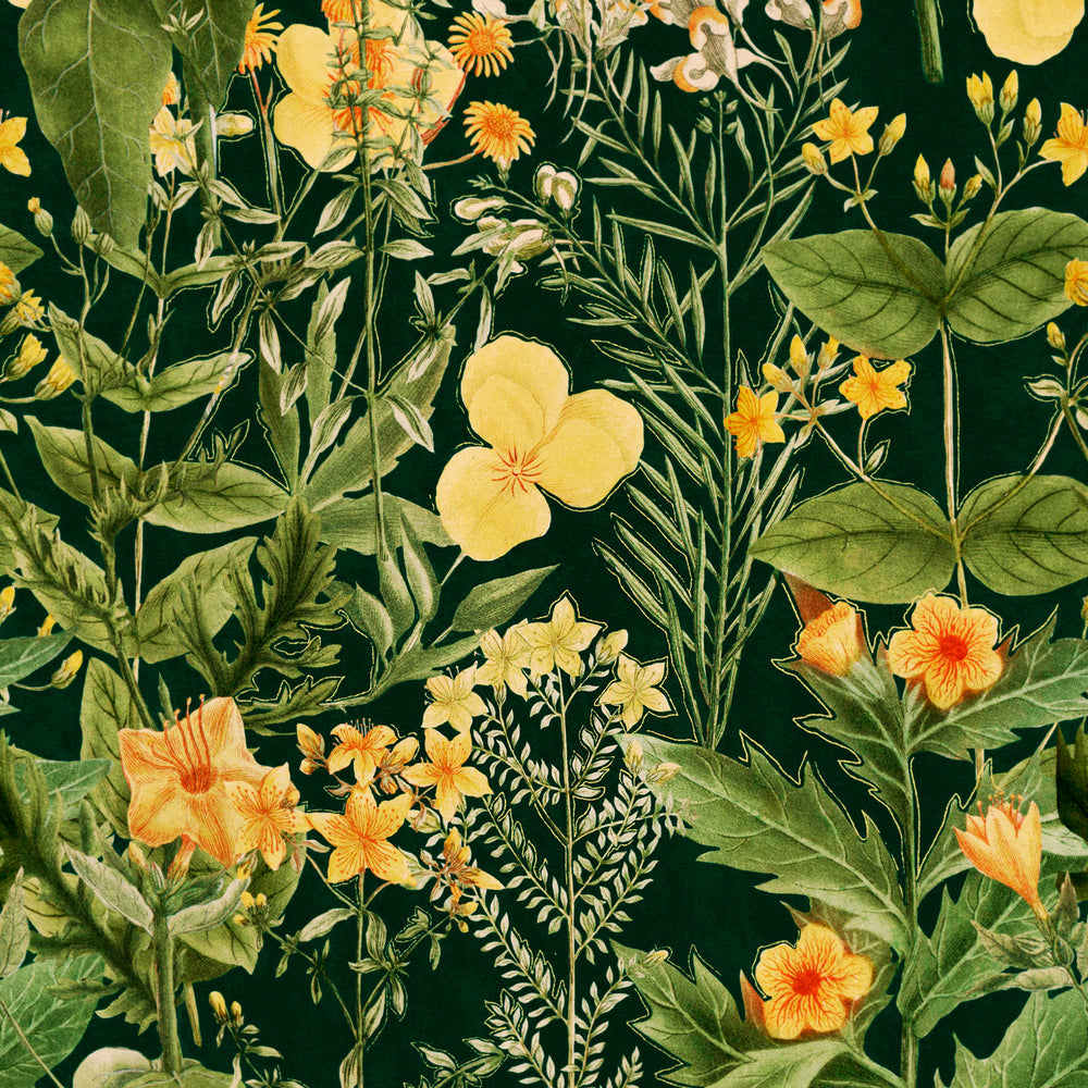 Mimulus Wallpaper Sample Swatch