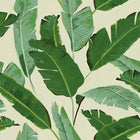 Banana Leaves Wallpaper