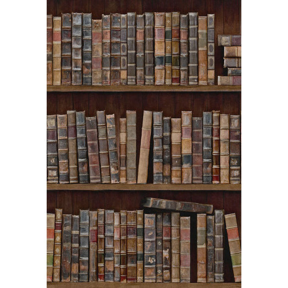 Book Shelves Wallpaper