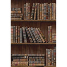 Book Shelves Wallpaper