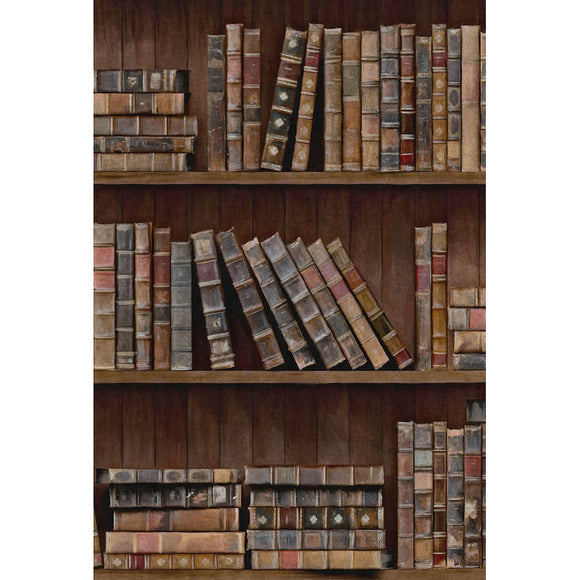 Exquisite Two Shelves Contain 55 Books Scene in HD Exquisite Two Shelves Contain 55 Books Scene in HD