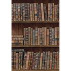 Book Shelves Wallpaper