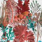 Coral Reef Wallpaper
