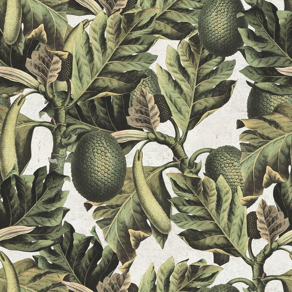Exotic Fruit I Wallpaper