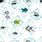 Fish Eye Wallpaper