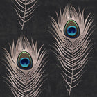 Peacock Wallpaper