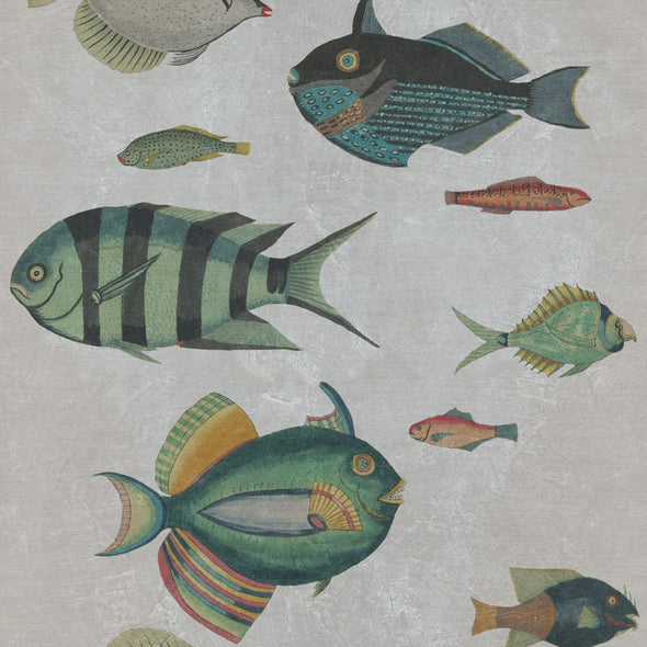 Poissons Wallpaper