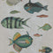 Poissons Wallpaper  option Grey