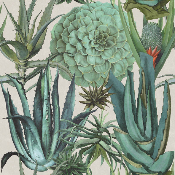 Succulentus Wallpaper Sample Swatch