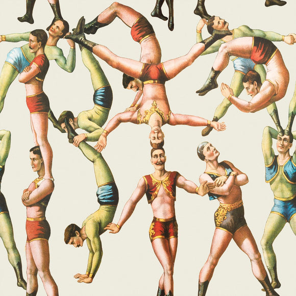 The Acrobats Wallpaper