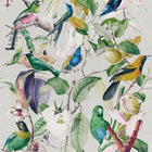 Tropical Birds Wallpaper