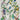 Tropical Birds Wallpaper