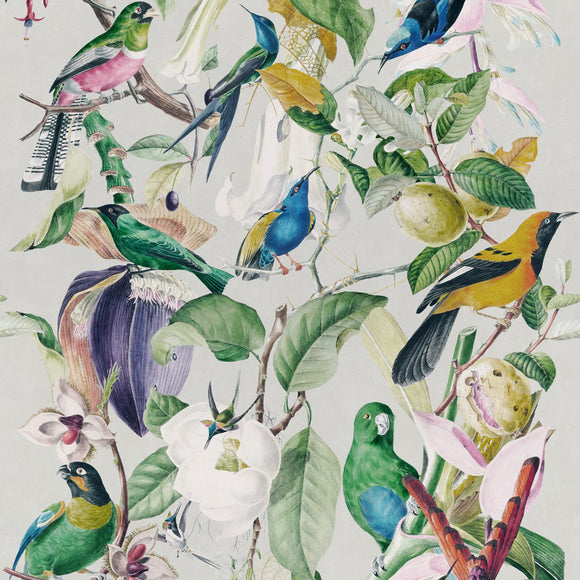 Tropical Birds Wallpaper