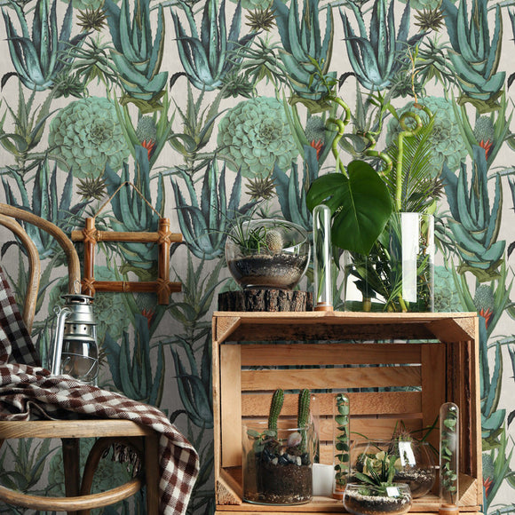 Succulentus Wallpaper