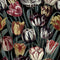 Tulipa Wallpaper  option Dark