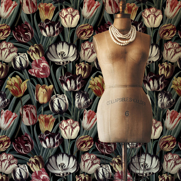 Tulipa Wallpaper