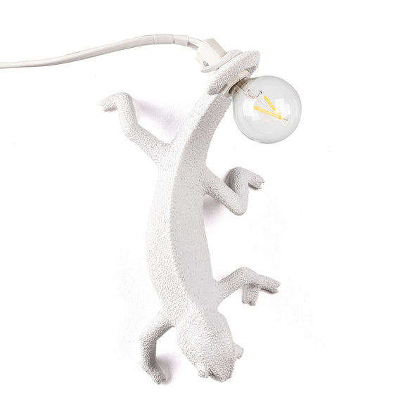 Chameleon Wall Light