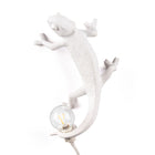 Chameleon Wall Light