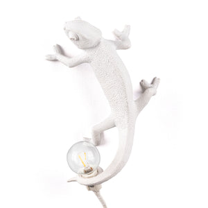 Chameleon Wall Light