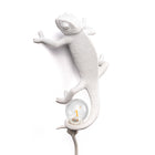 Chameleon Wall Light