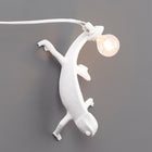Chameleon Wall Light
