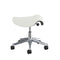 Freedom Saddle Task Stool  option Polished Aluminum with Graphite Trim / Lotus White