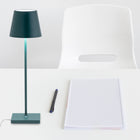 Poldina Pro Portable Table Lamp