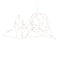 Flock of Light Suspension Light  option 21 Lights