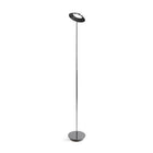 Royyo Floor Lamp