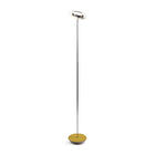 Royyo Floor Lamp