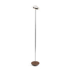 Royyo Floor Lamp